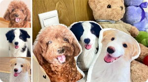 Customize Pet Pillows