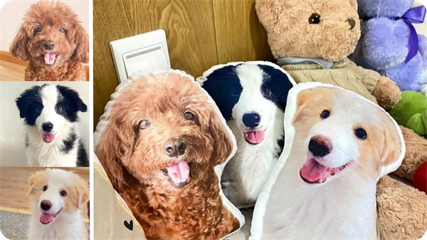 Customize Pet Pillows