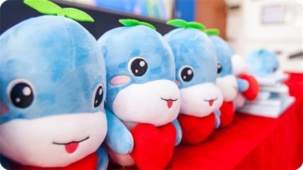 Customize plush toys for public welfare